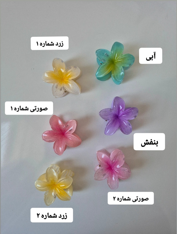 کلیپس زنانه مدل پلومریا ۶ سانت